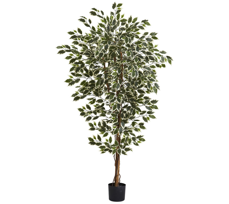6' Hawaiian Ficus Tree by Nearly Natural — Main view