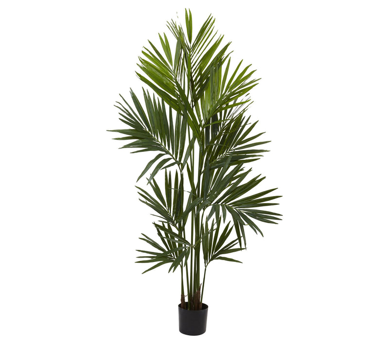 7' Kentia Palm Silk Tree by Nearly Natural — Main view