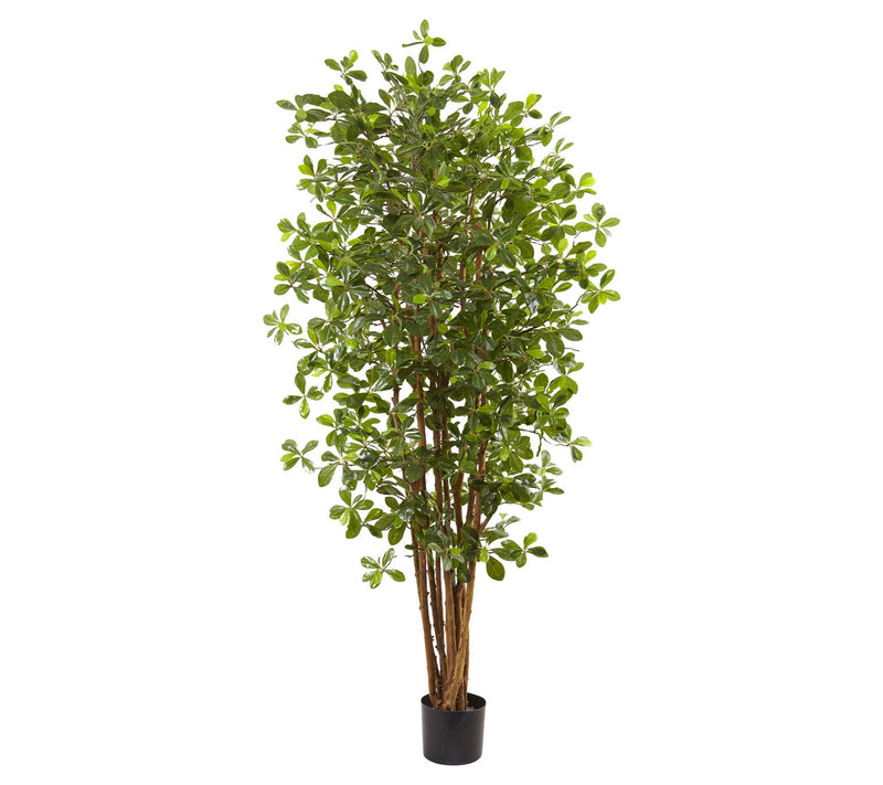 6' Black Olive Silk Tree by Nearly Natural — Main view