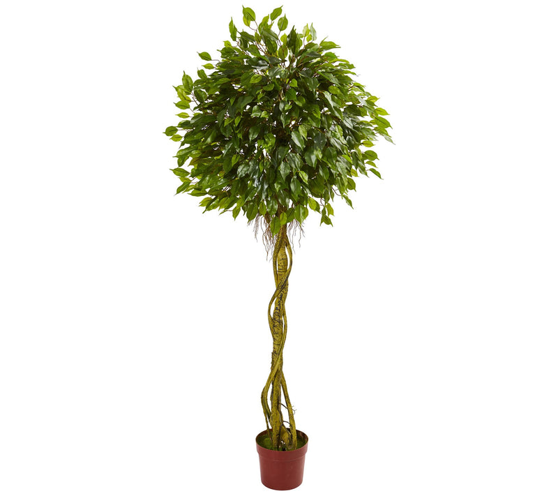 6' Ficus Artificial Topiary Tree by Nearly Natural — Main view