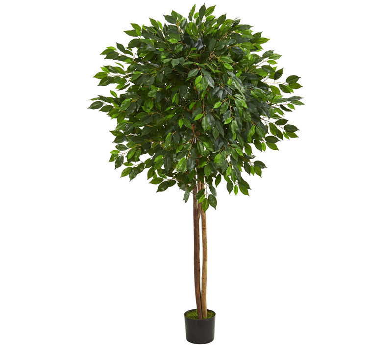 6.5' Ficus Artificial Tree by Nearly Natural — Main view