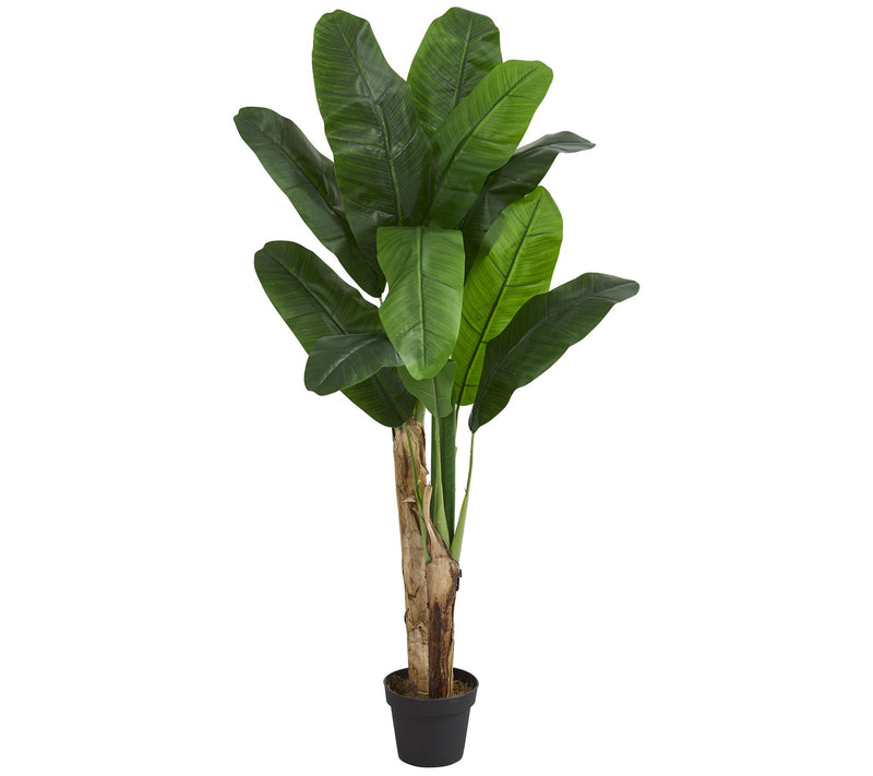 5' Double Stalk Banana Artificial Tree by Nearly Natural — Main view