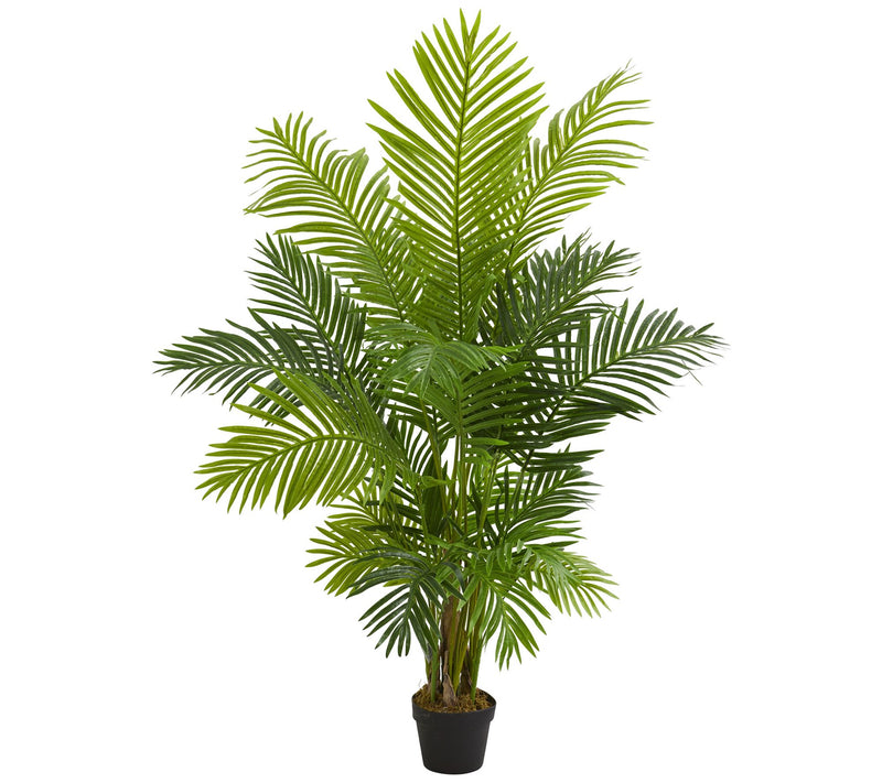 5' Hawaii Palm Artificial Tree by Nearly Natural — Main view