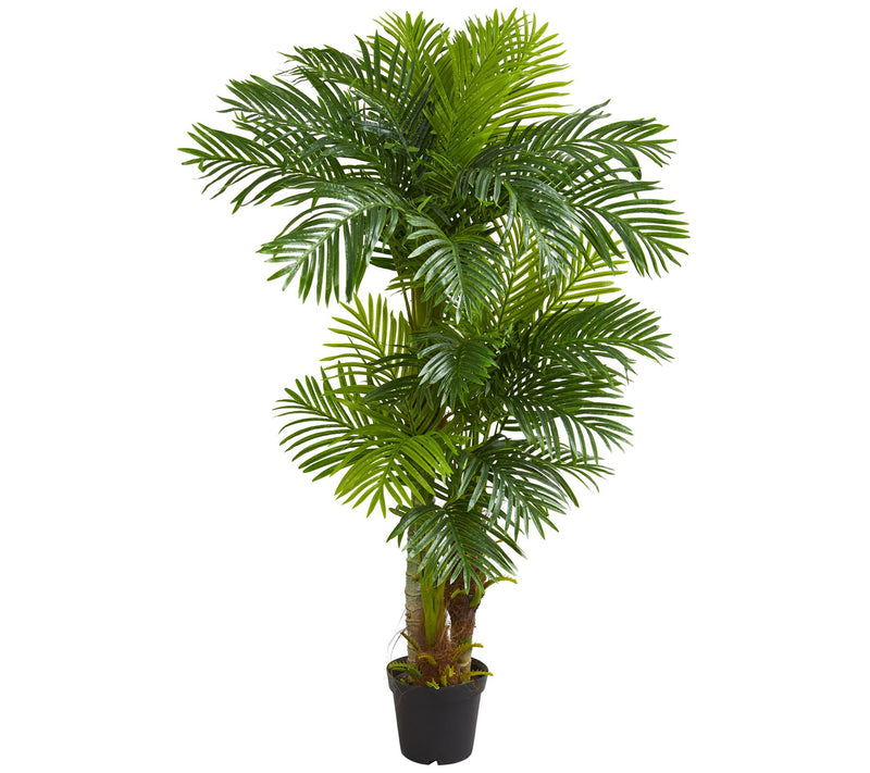 6' Hawaii Artificial Palm by Nearly Natural — Main view