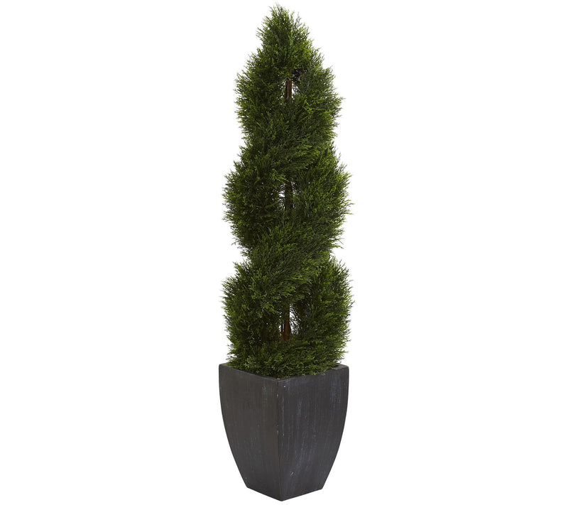 5' Double Pond Cypress Spiral Topiary by Nearly Natural — Main view