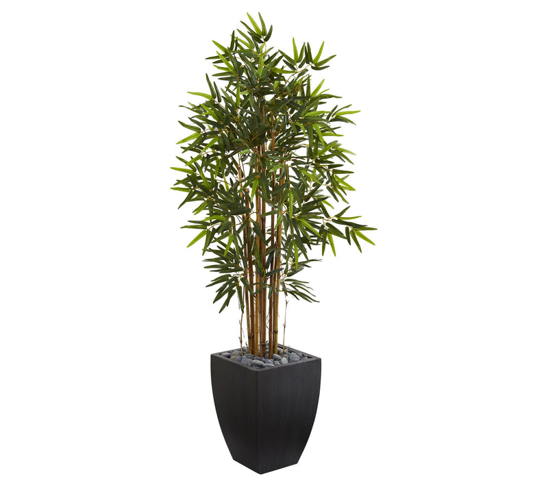5' Bamboo Tree in Black Wash Planter by Nearlyatural — Main view