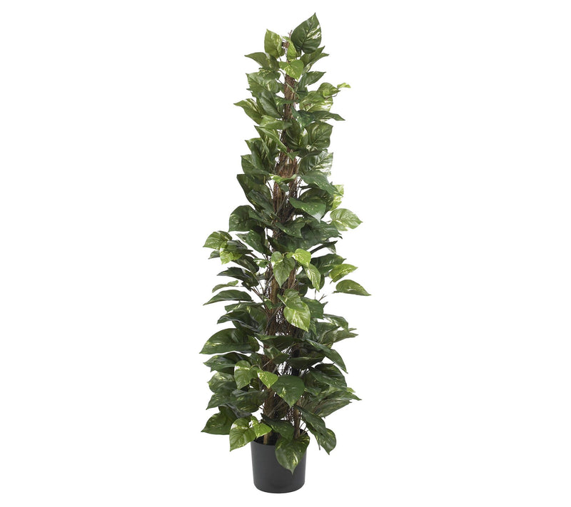 63" Pothos Climbing Silk Plant by Nearly Natural — Main view