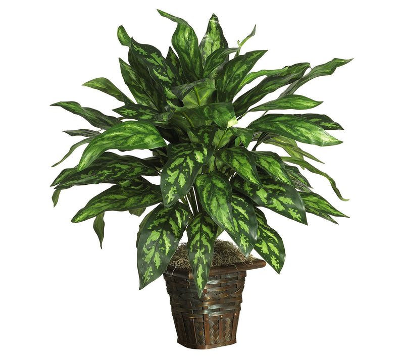 Silver King with Basket Silk Plant by Nearly Natural — Main view