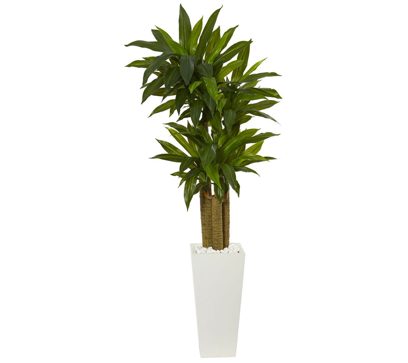 5' Cornstalk Dracaena Plant in Planter by Nearly Natural — Main view