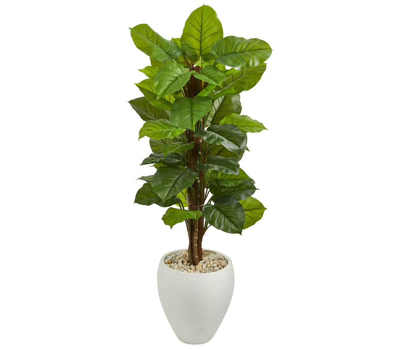 5' Large Leaf Philodendron in Planter by Nearly Natural — Main view