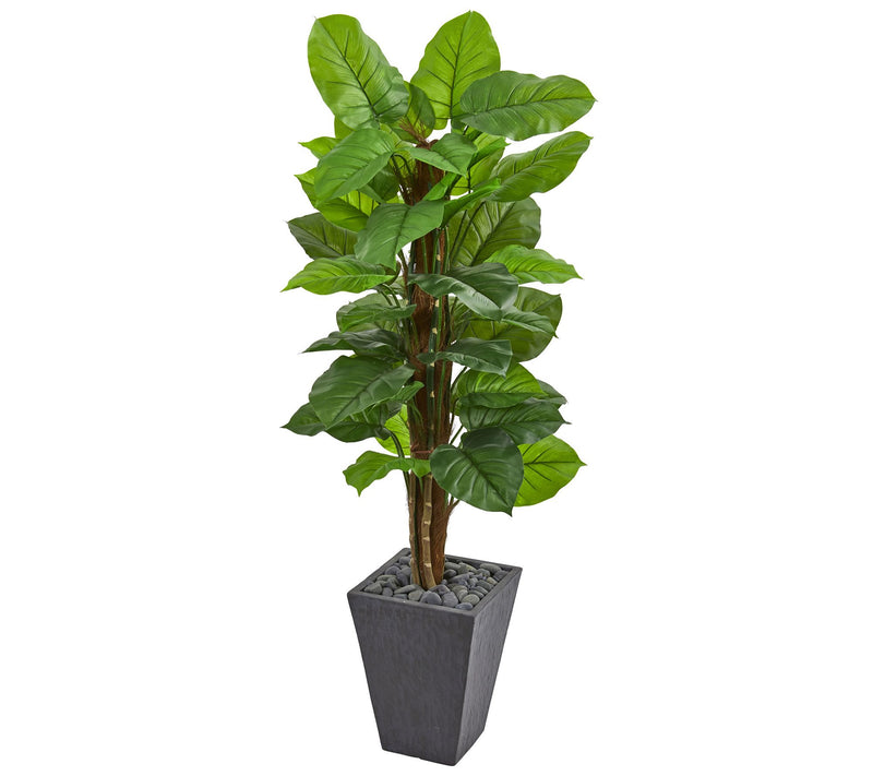 5' Large Leaf Philodendron in Planter by NearlyNatural — Main view