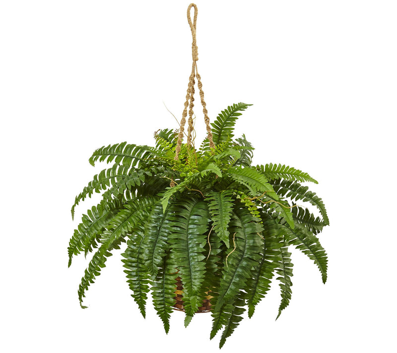 Boston Fern Small Hanging Basket by Nearly Natural — Main view