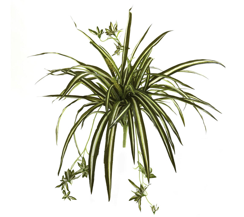 Spider Plant Bush Set of 4 by Nearly Natural — Main view