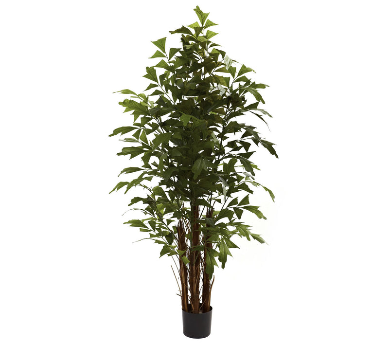 6' Fishtail Palm Tree by Nearly Natural — Main view