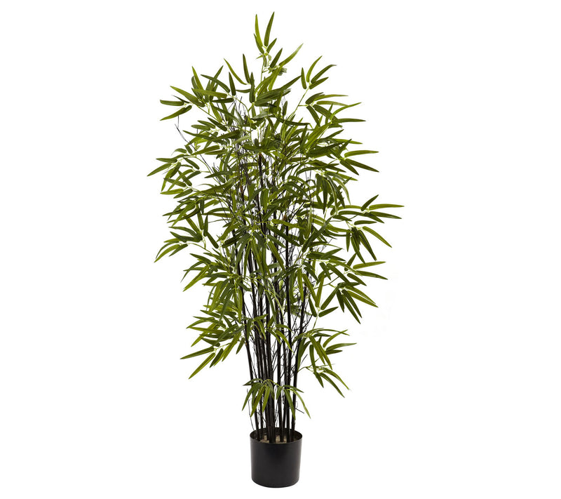 4' Black Bamboo Tree by Nearly Natural — Main view