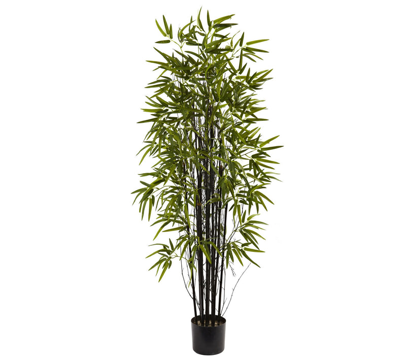 5' Black Bamboo Tree by Nearly Natural — Main view