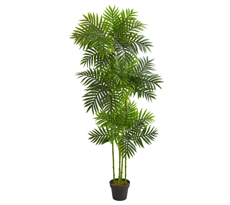 6' Phoenix Palm Artificial Tree by Nearly Natural — Main view