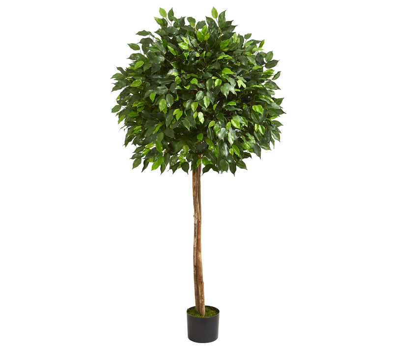 5.5' Ficus Artificial Tree by Nearly Natural — Main view