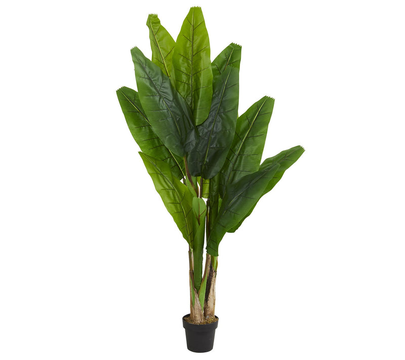 6' Triple Stalk Banana Artificial Tree by Nearly Natural — Main view