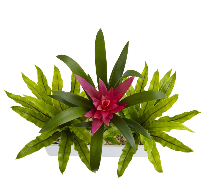 Bromeliad and Birdsnest in Planter by Nearly Natural — View 2