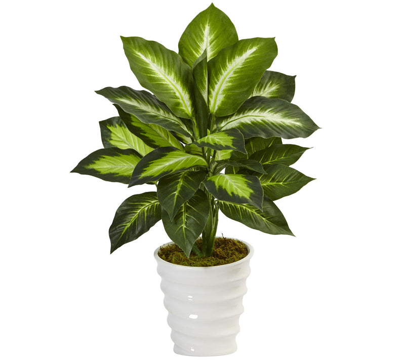 Dieffenbachia in Swirl Planter by Nearly Natural — Main view