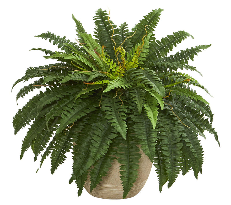 22" Boston Fern Plant in Planter by Nearly Natural — Main view