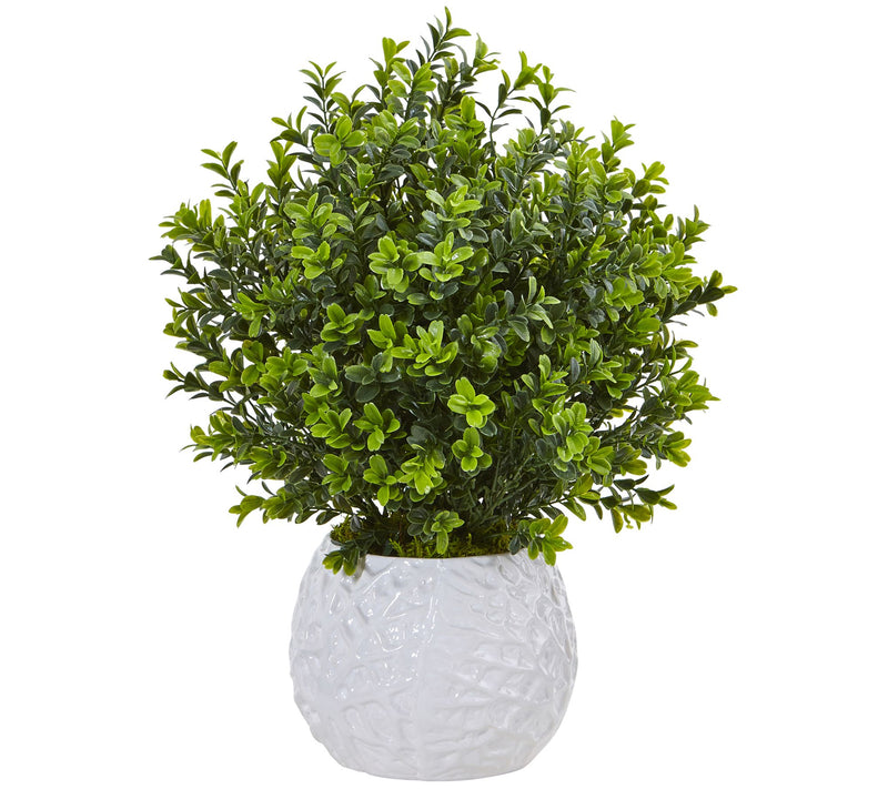 Boxwood in White Vase by Nearly Natural — Main view