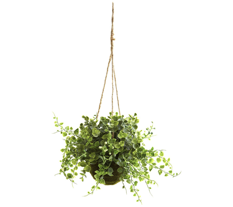 Eucalyptus Hanging Basket Set of 3 by Nearly Natural — View 2