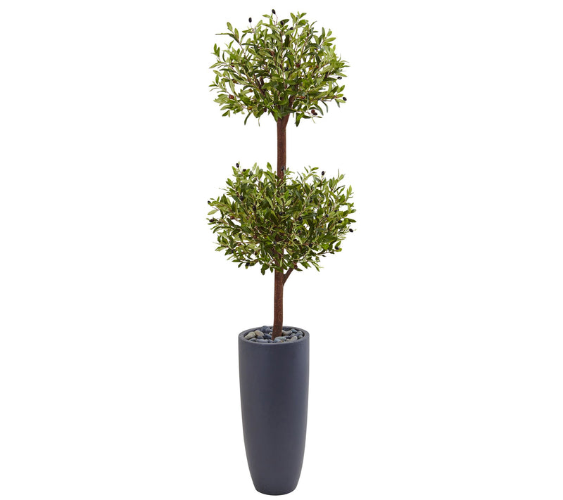6' Olive Double Tree in Cylinder Planter by Nearly Natural — Main view