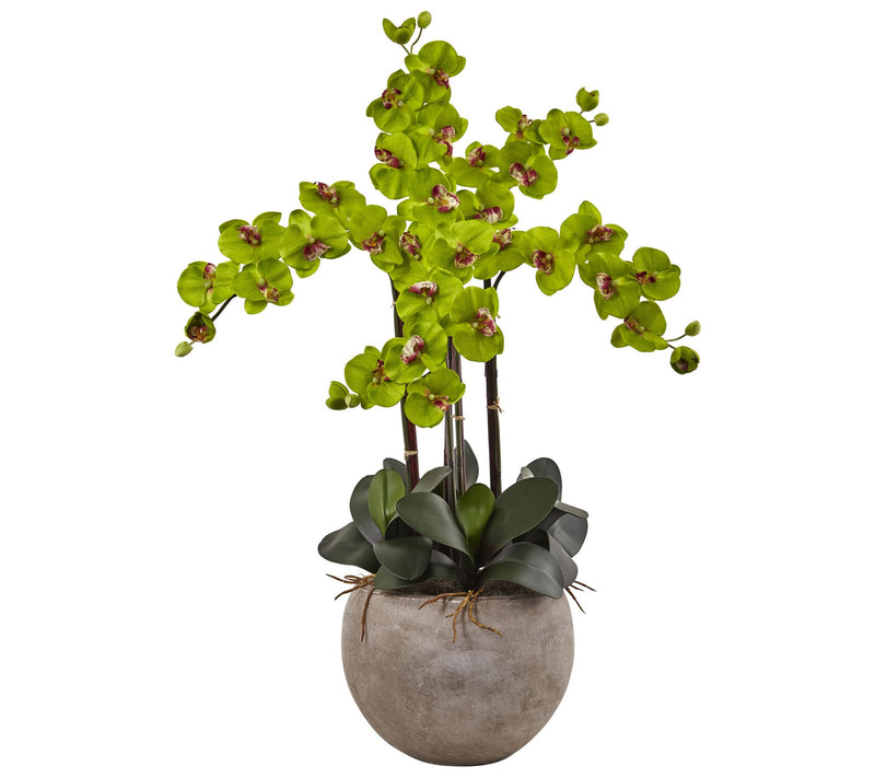 Phalaenopsis Orchid Arrangement in Bowl by Nearly Natural — View 9