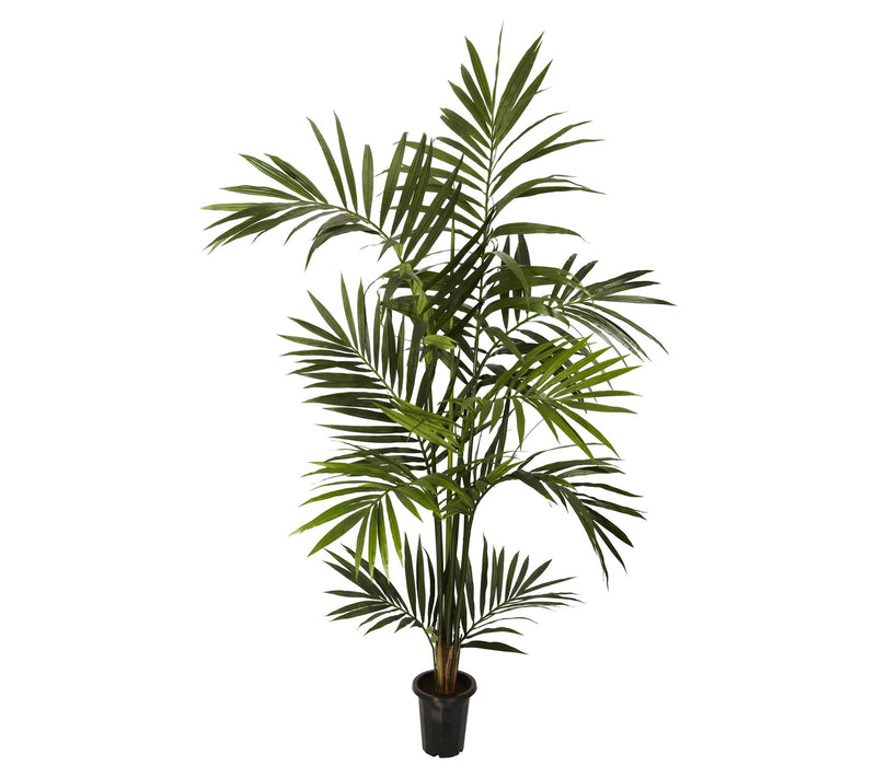 6' Kenitia Palm Silk Tree by Nearly Natural — Main view