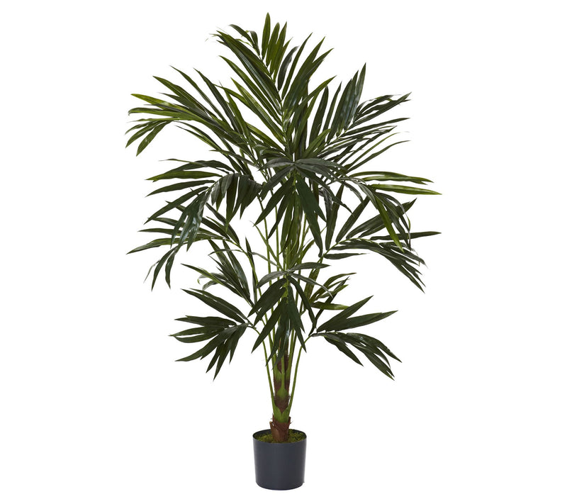 6' Kentia Silk Tree by Nearly Natural — Main view