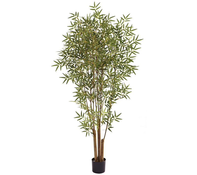 6' Japanese Bamboo Tree by Nearly Natural — Main view