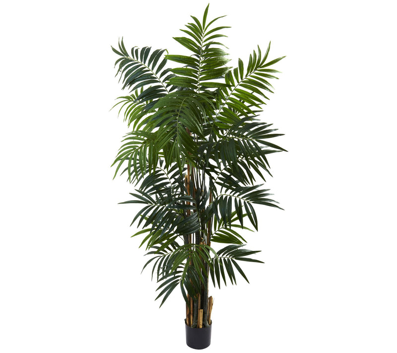 6' Bulb Areca Palm Tree by Nearly Natural — Main view