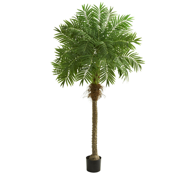 80" Artificial Robellini Palm Tree by Nearly Natural — Main view