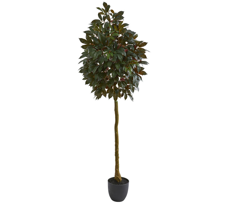 75" Artificial Capensia Ficus Tree by Nearly Natural — Main view