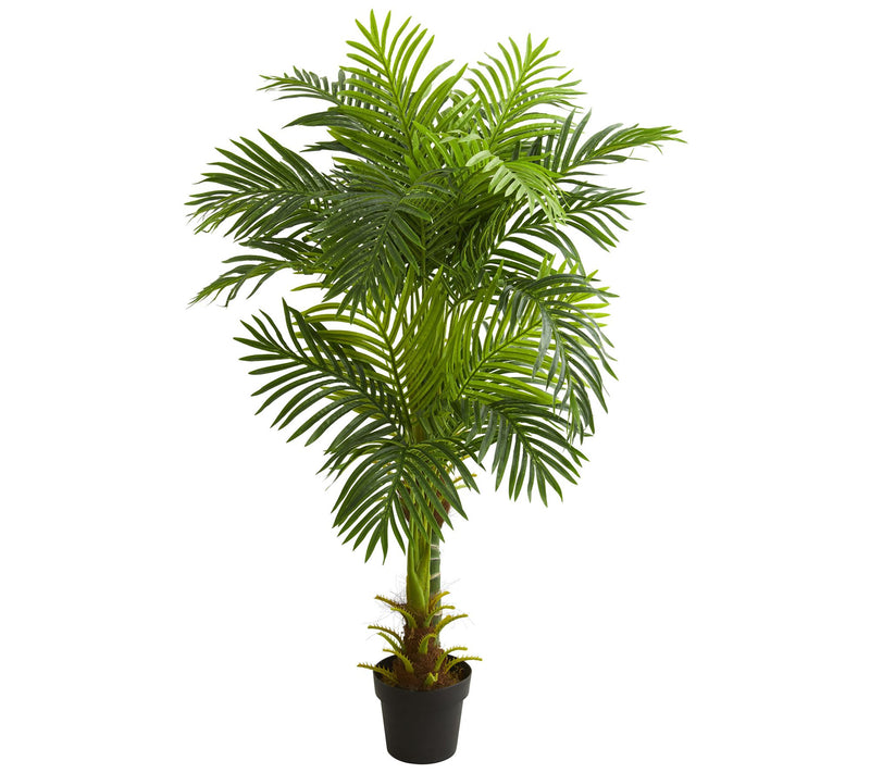 5' Double Stalk Hawaii Palm Tree by Nearly Natural — Main view