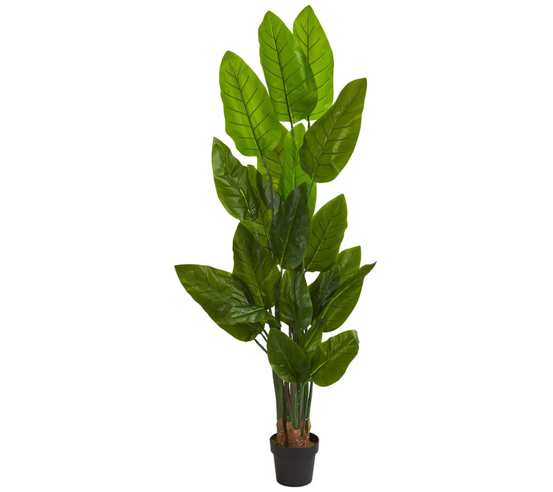 6' Artificial Canna Tree by Nearly Natural — Main view