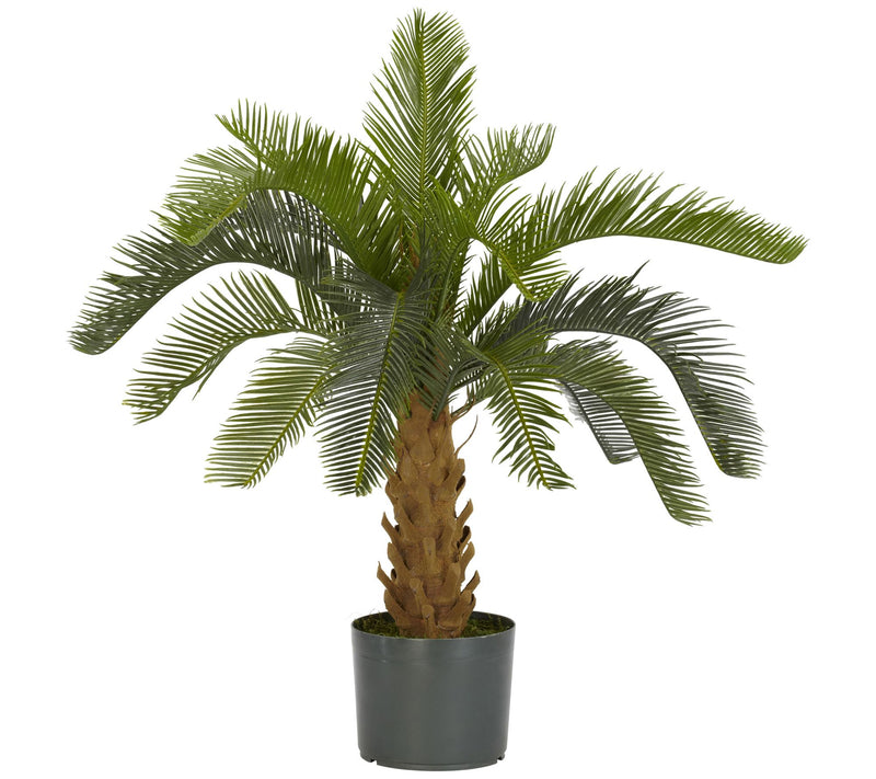 Cycas Faux Plant by Nearly Natural — Main view