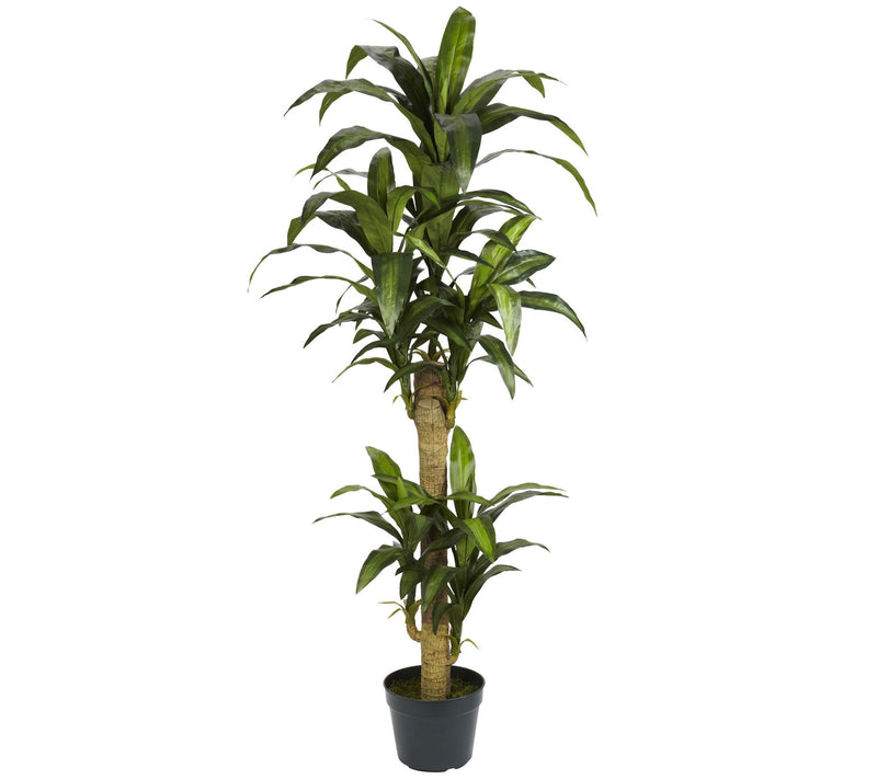 5' Yucca Silk Plant by Nearly Natural — Main view