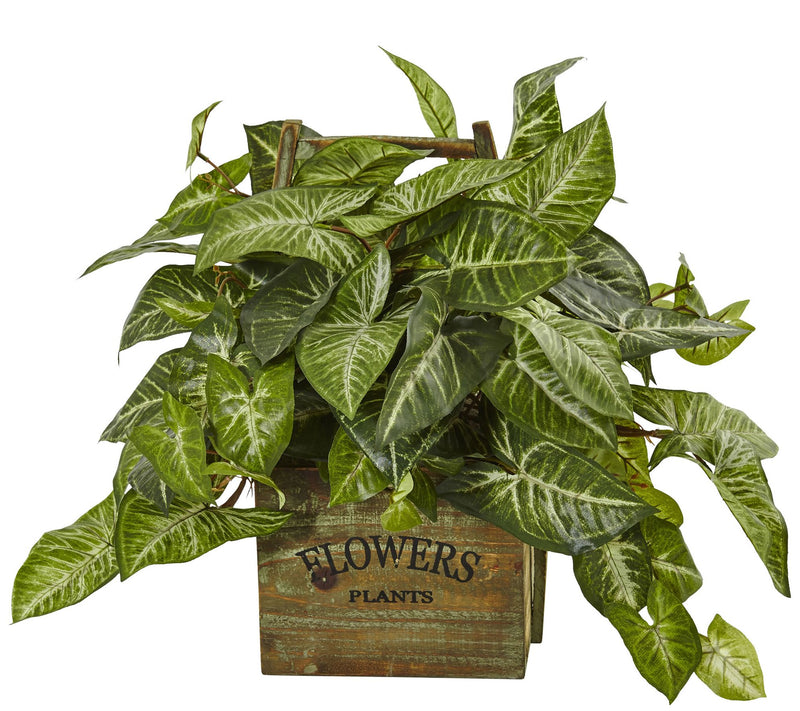 Nephthytis Plant in Wood Box Planter by NearlyNatural — Main view