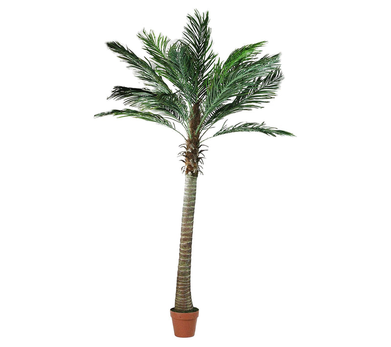 Northlight 6' Potted Artificial Phoenix Palm Tree — Main view