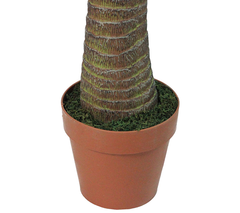 Northlight 6' Potted Artificial Phoenix Palm Tree — View 2