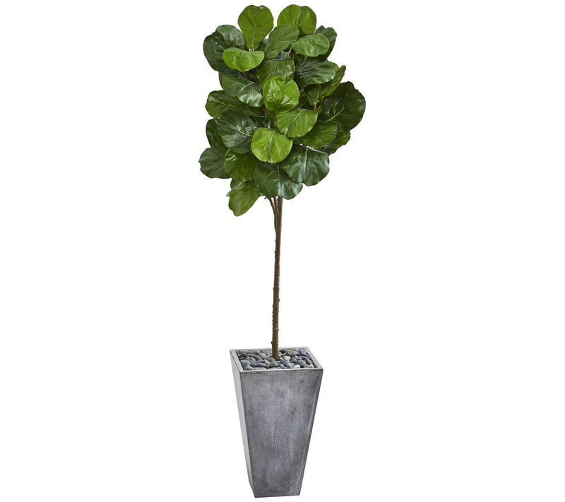 75" Fiddle Leaf Tree in Cement Planter by Nearly Natural — Main view