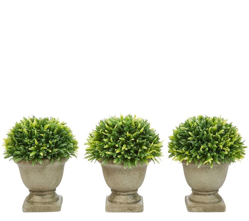 Pure Garden Set of Three 7.5" Potted ArtificialPodocarpus — Main view