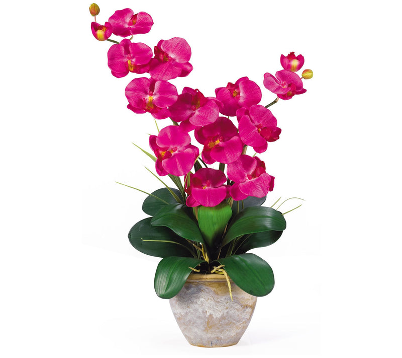 25" Double Stem Phalaenopsis by Nearly Natural — Main view