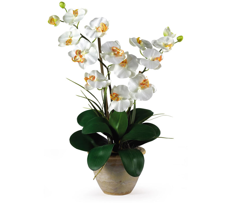 25" Double Stem Phalaenopsis by Nearly Natural — View 5