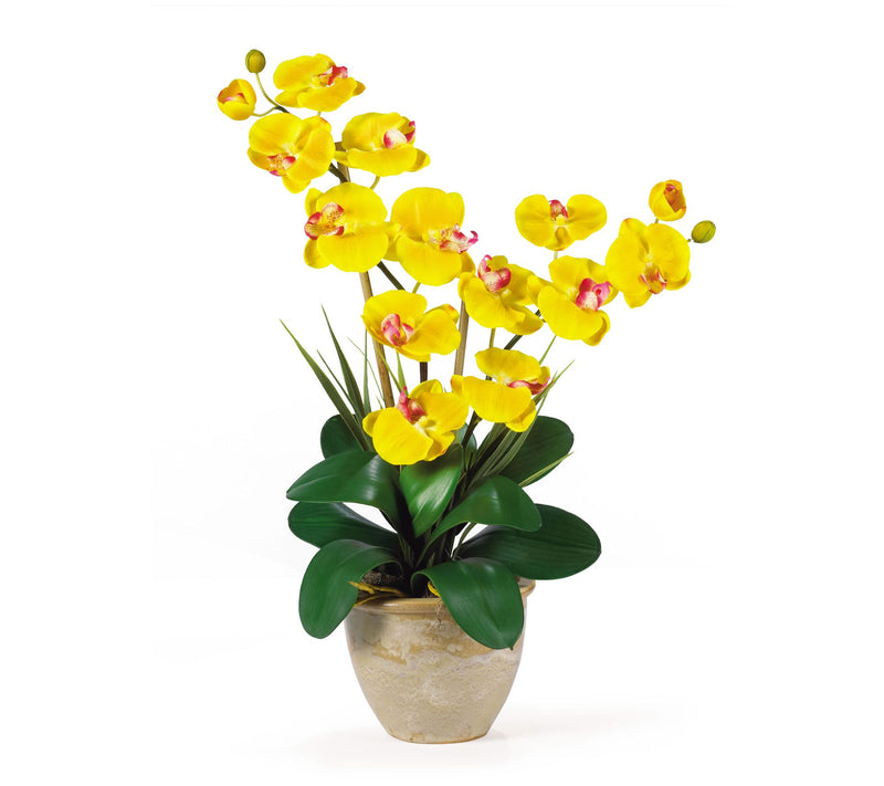25" Double Stem Phalaenopsis by Nearly Natural — View 9