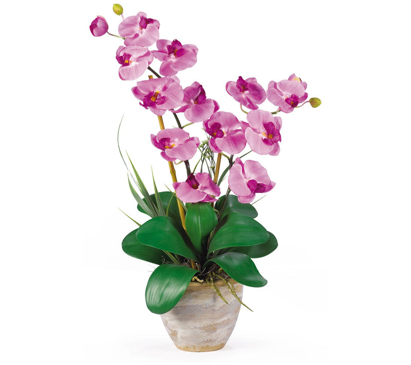 25" Double Stem Phalaenopsis by Nearly Natural — View 13