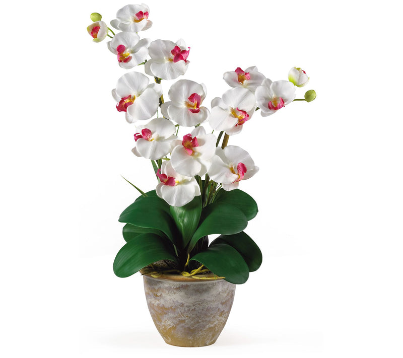 25" Double Stem Phalaenopsis by Nearly Natural — View 17